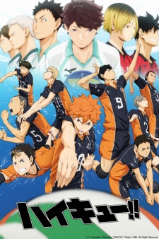 Haikyuu!! - anime vietsub