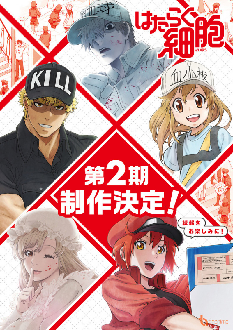 Hataraku Saibou 2Nd Season - anime vietsub