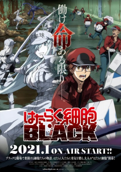 Hataraku Saibou Black (Tv) - anime vietsub