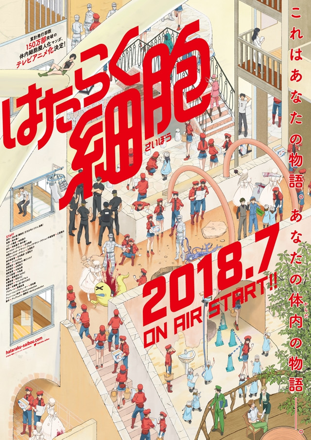 Hataraku Saibou - anime vietsub