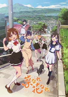 Na Nare Hana Nare - anime vietsub