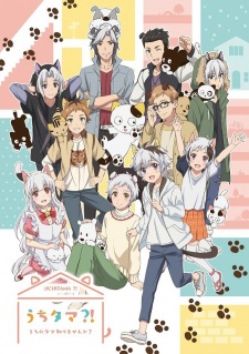 Uchi Tama?! Uchi No Tama Shirimasen Ka? - anime vietsub