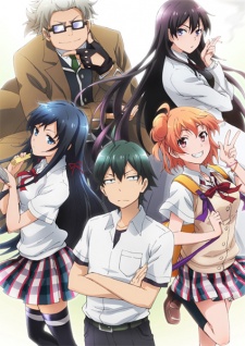 Yahari Ore No Seishun Love Comedy Wa Machigatteiru - anime vietsub